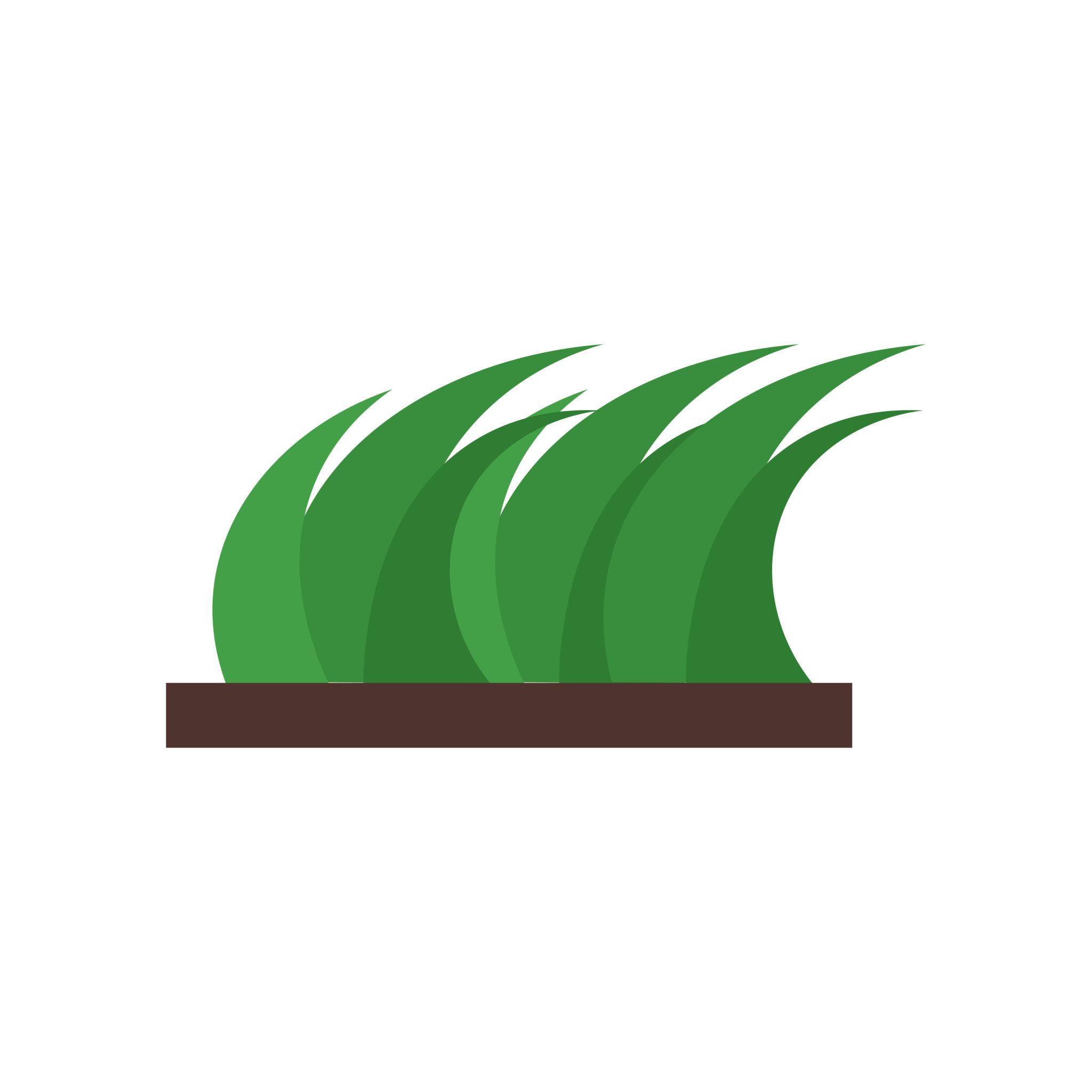 Fertilizers & Treatments